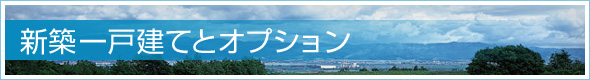 新築一戸建てとオプション